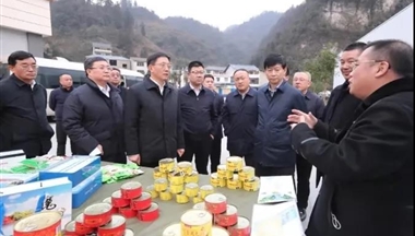 赴威信(xin)縣調研，雲南(nan)省委(wei)副書記、省長(zhang)王予波(bo)對滇東北金色