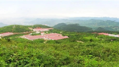 全國(guo)僅62傢(jia)！鐵騎力(li)士2傢(jia)豬場(chang)入選首批(pi)&ldquo;無非(fei)洲豬瘟小(xiǎo)區(qu)&rdquo;